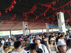 -放鸡岛生态旅游国际度假区