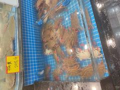 -隐厨·海鲜大排档·地道莱州菜(恒通路店)