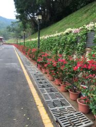 -爱帝宫月子中心(罗湖别墅院)
