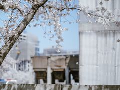 -龙美术馆(西岸馆)