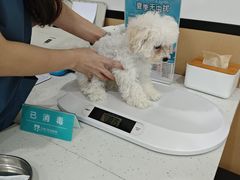 -贝利宠物医院·骨科·眼科·肿瘤转诊中心(南坪诊疗中心)