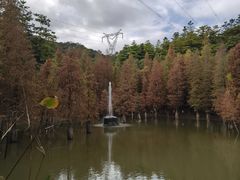 -广州市帽峰山景区