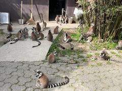 -宁波野生动物园