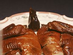 -子福慧(虹桥店)
