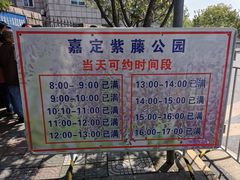 -嘉定紫藤园