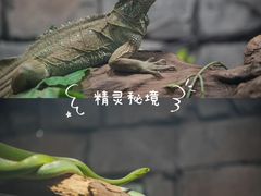 -正佳雨林生态植物园