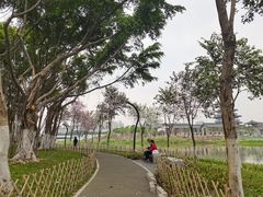 -海珠湖公园