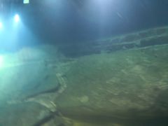 -白鹤梁水下博物馆