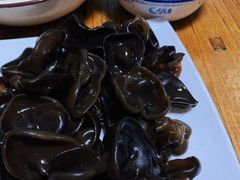 辣根秋木耳-勃利地摊·勃立小串烧烤