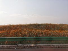 -于家石头村景区