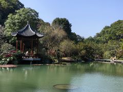 -云溪植物园