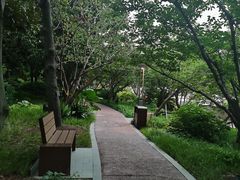 -北外滩滨江绿地