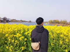 -杭州湾海上花田景区