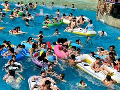 -重庆海昌加勒比海水世界