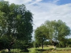 -汉长安城未央宫国家考古遗址公园