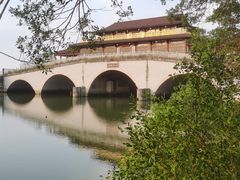 -大湾区中央湿地公园