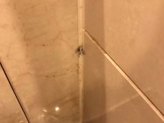 -诸暨耀江开元名都大酒店