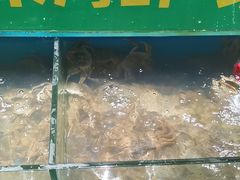 -亚马逊海鲜自助(王府井店)