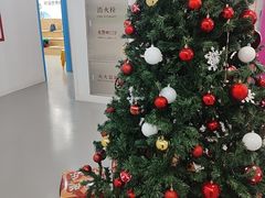 -英孚教育青少儿(河东中心)