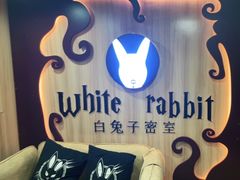 -白兔子密室(长寿路店)