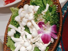 -曲氏老北京铜锅涮肉•火锅(不老街店)