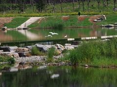 -永定河休闲森林公园