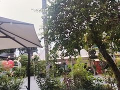 -花神·轻食简餐·咖啡馆·花卉绿植(荷兰花卉小镇店)