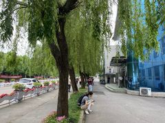 -胜华驾校·小猫学车(银都店)