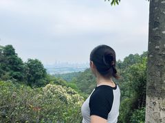 -火炉山森林公园