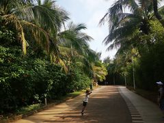 -白沙门生态公园