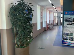 -兔途体检(十里堡青年路店)