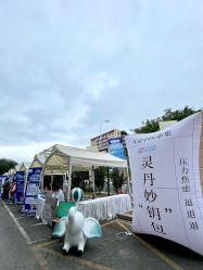 -沈阳市儿童医院