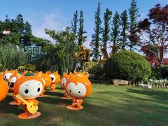 -上海长兴岛郊野公园