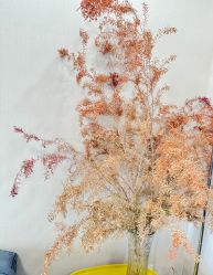-AM半永久纹眉