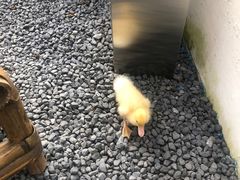 -伴山茶苑·围炉煮茶