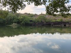 -白马涧龙池景区