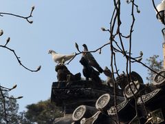 -潭柘寺景区