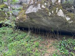 -山王坪喀斯特国家生态公园