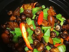 小香菇焖香肘-赤宴·川菜(玉林店)