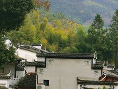 -塔川景区