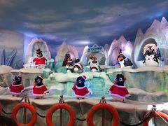 -帝企鹅自助餐厅•儿童岛•真企鹅(长隆企鹅酒店)