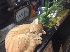 -古董花园(思南路42弄小区店)