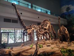 -自贡恐龙博物馆