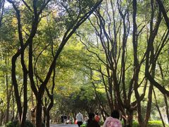 -东湖落雁景区