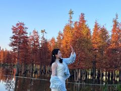 -白鹭湾湿地公园