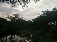 -云溪植物园