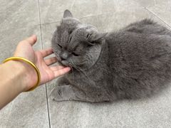 -派特宠物医院(圆融广场店)