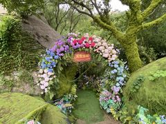 -沂蒙云瀑洞天景区