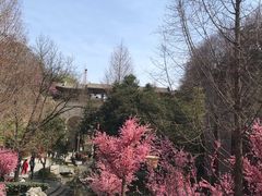 -西安曲江寒窑遗址公园
