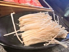 -麻路成都火锅(柏威年店)